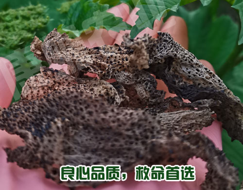 用不用蟾衣，你聽(tīng)誰(shuí)的？